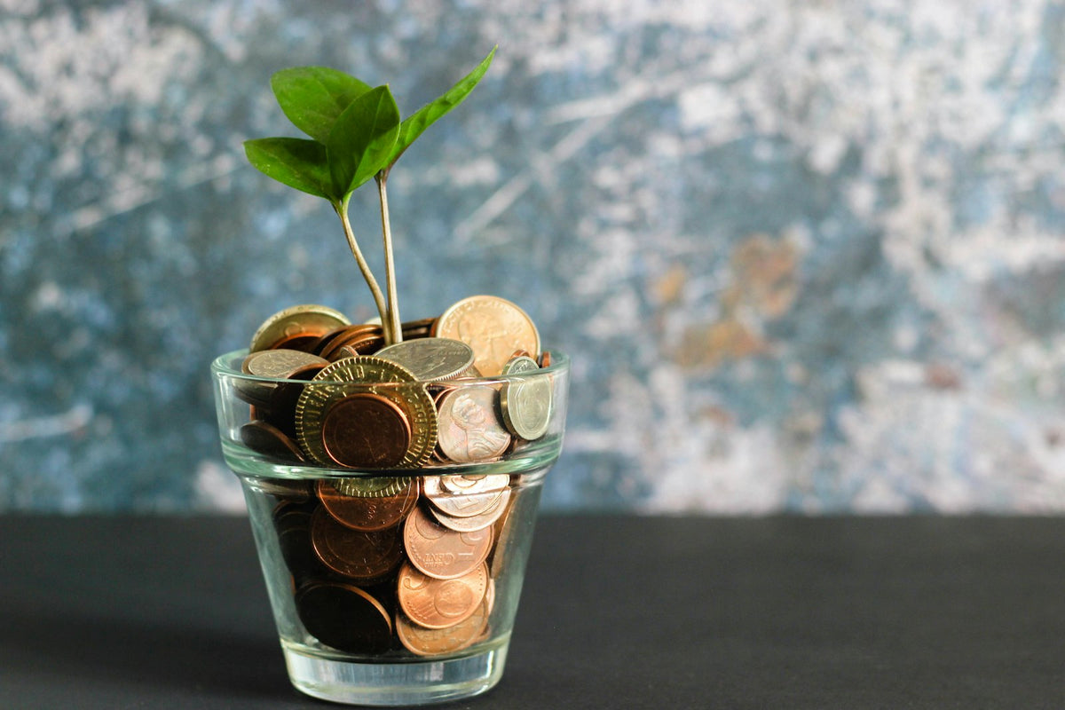 Plant growing from a jar of coins