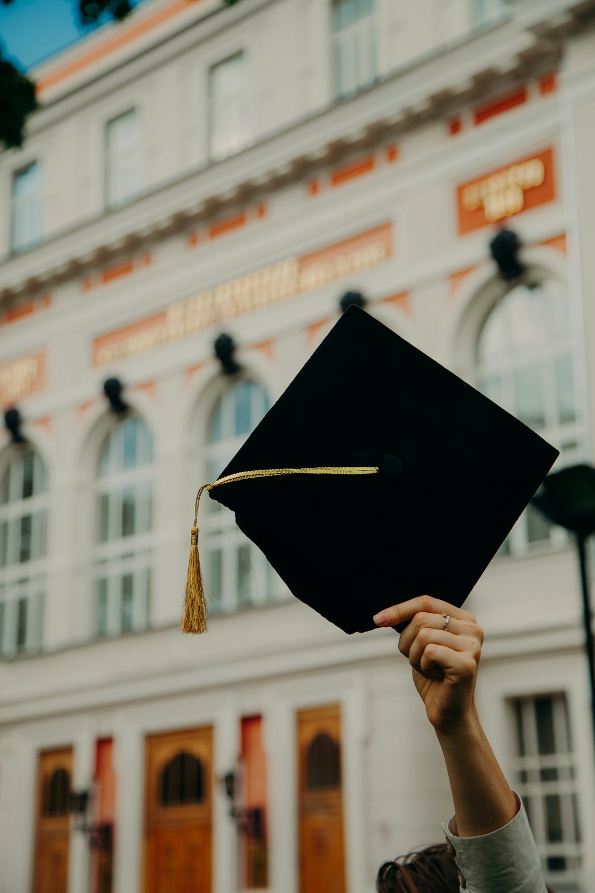 Person holding a graduation cap